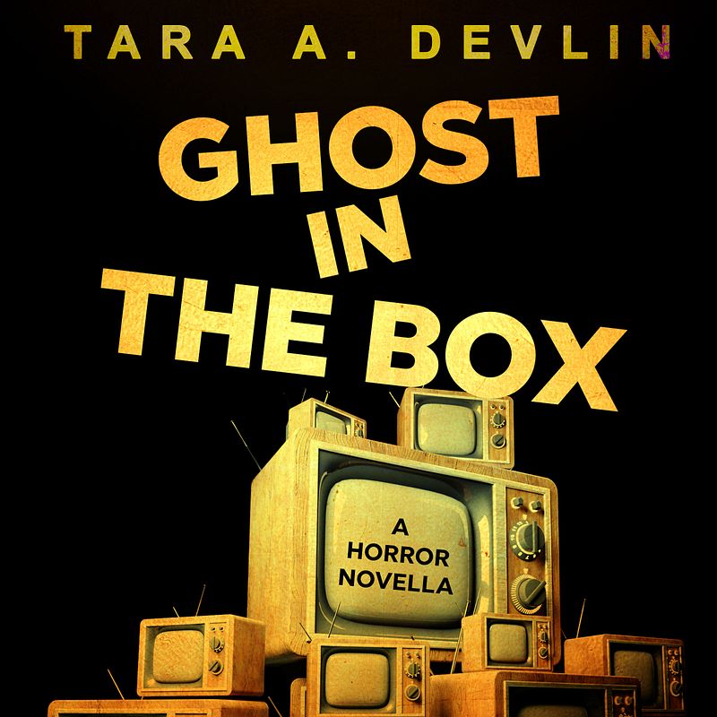 Ghost in the Box (Reiwa Tanpen) (audiobook)