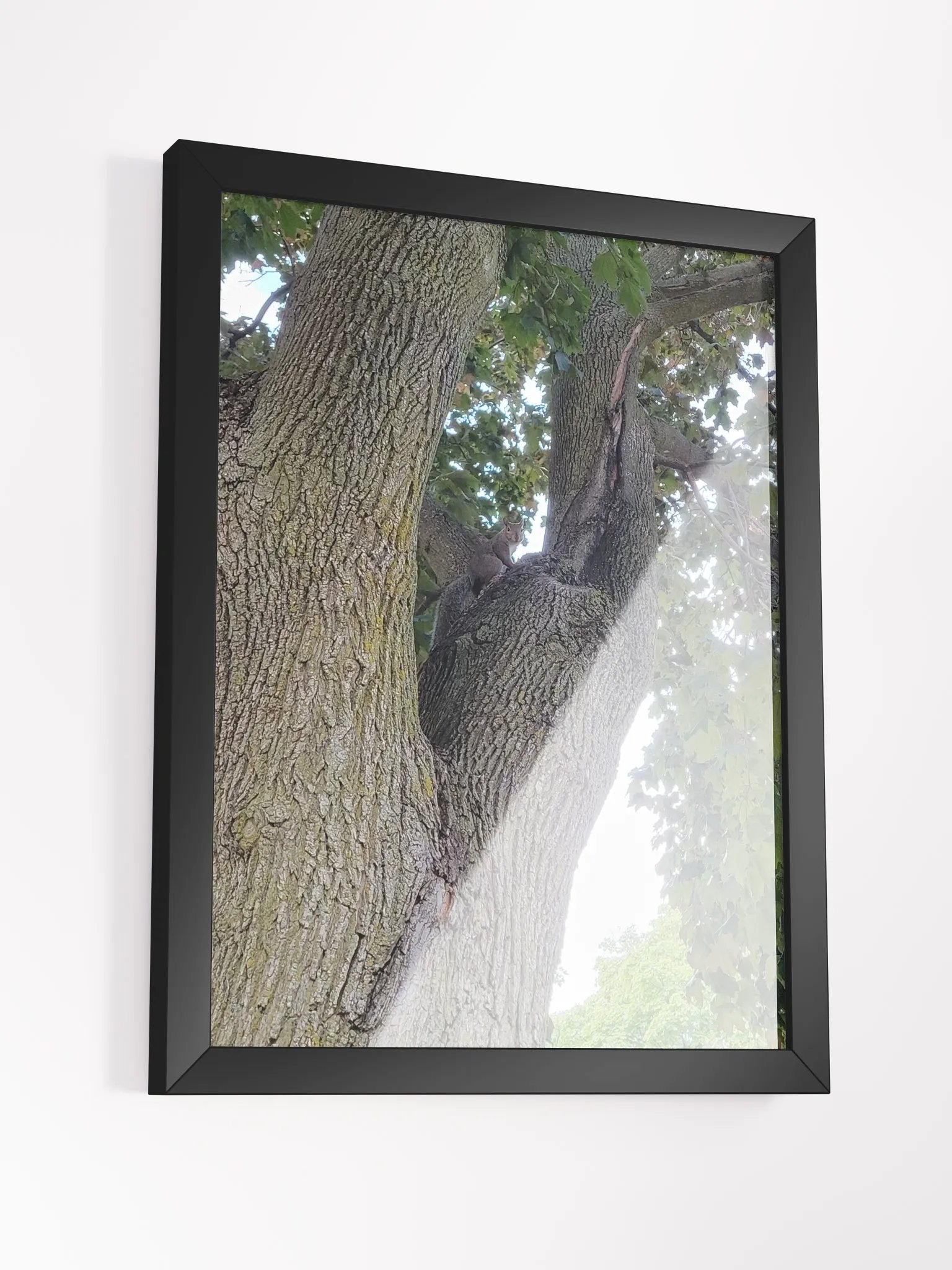 Nature's Embrace Framed Poster product image (5)