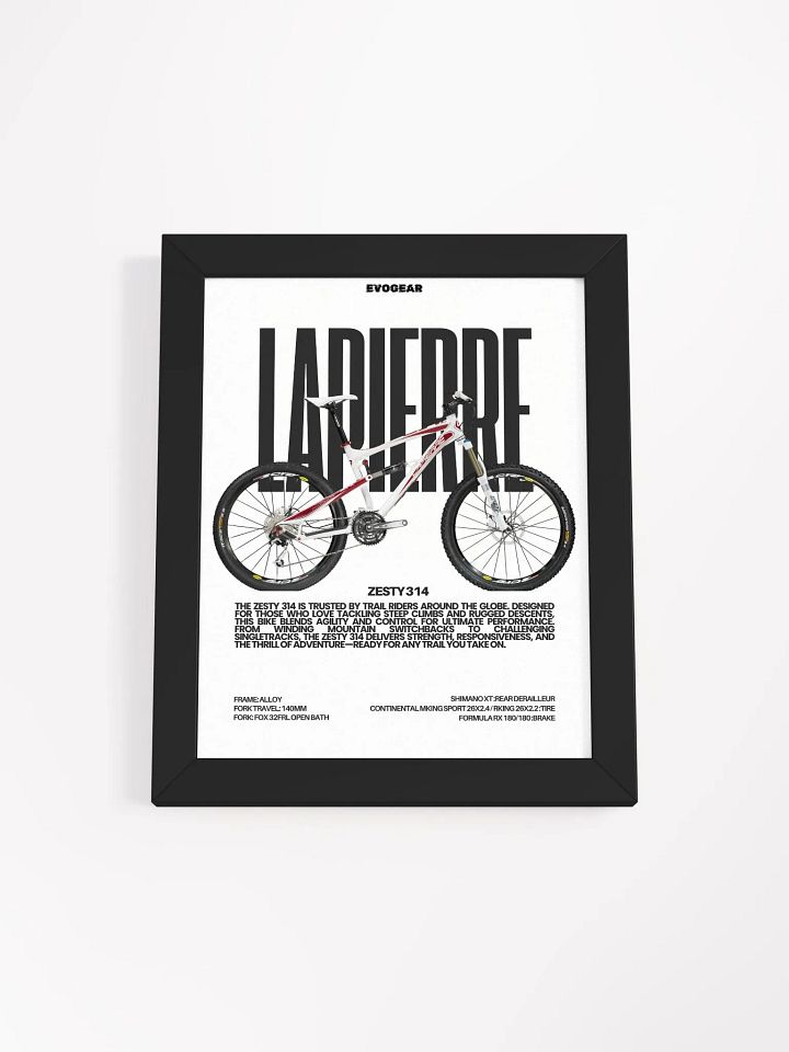 Lapierre ZESTY 314 2010 Frame product image (1)