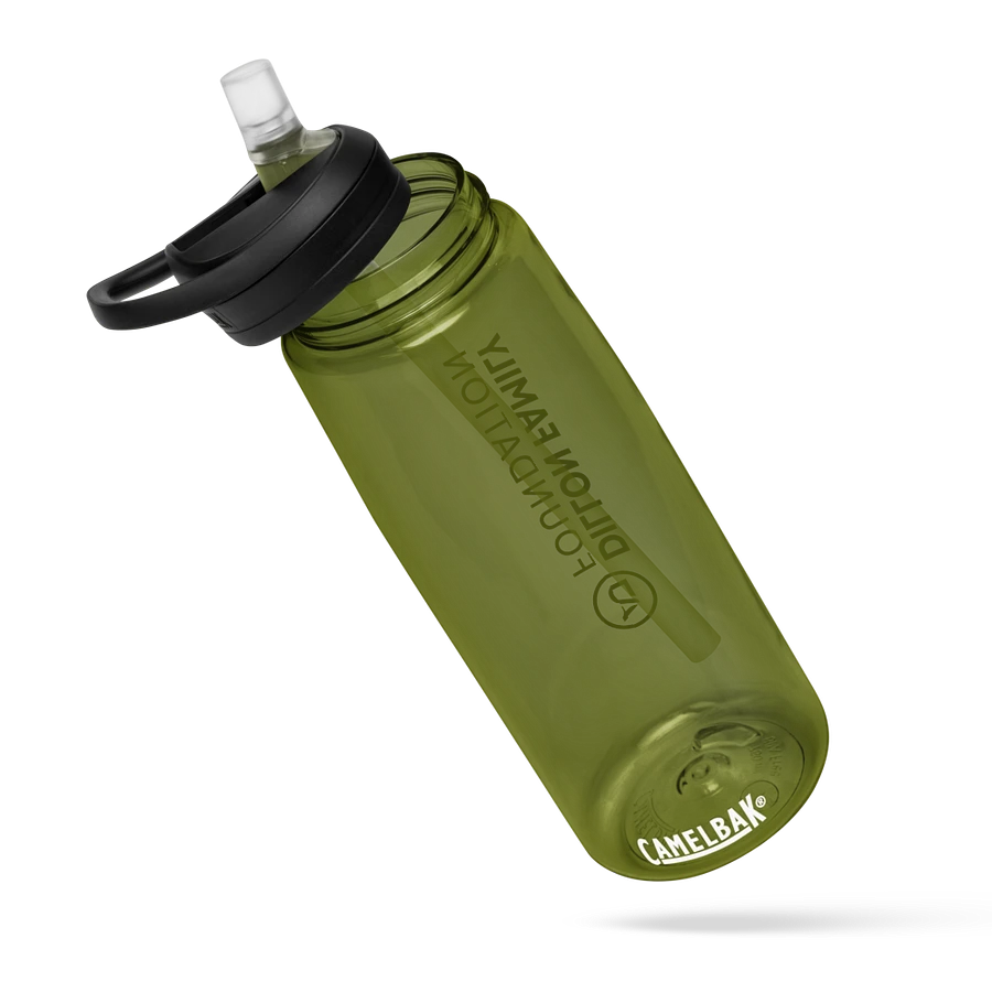 Dillon Family Foundation Water Bottle product image (6)