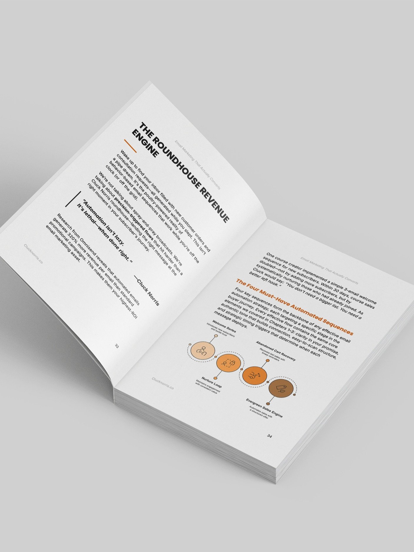 The Cluck Norris Method: Email Marketing That Actually Converts. product image (3)