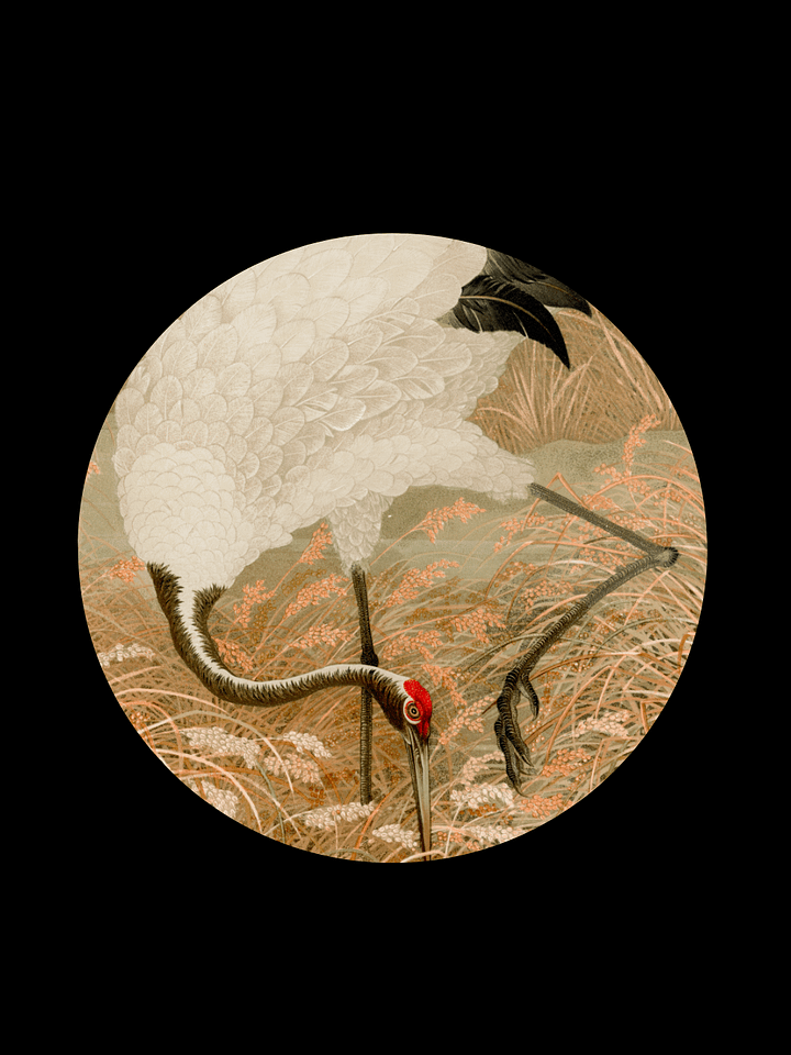 Crimson Crowned Crane. Hardcover JournalBook® product image (1)