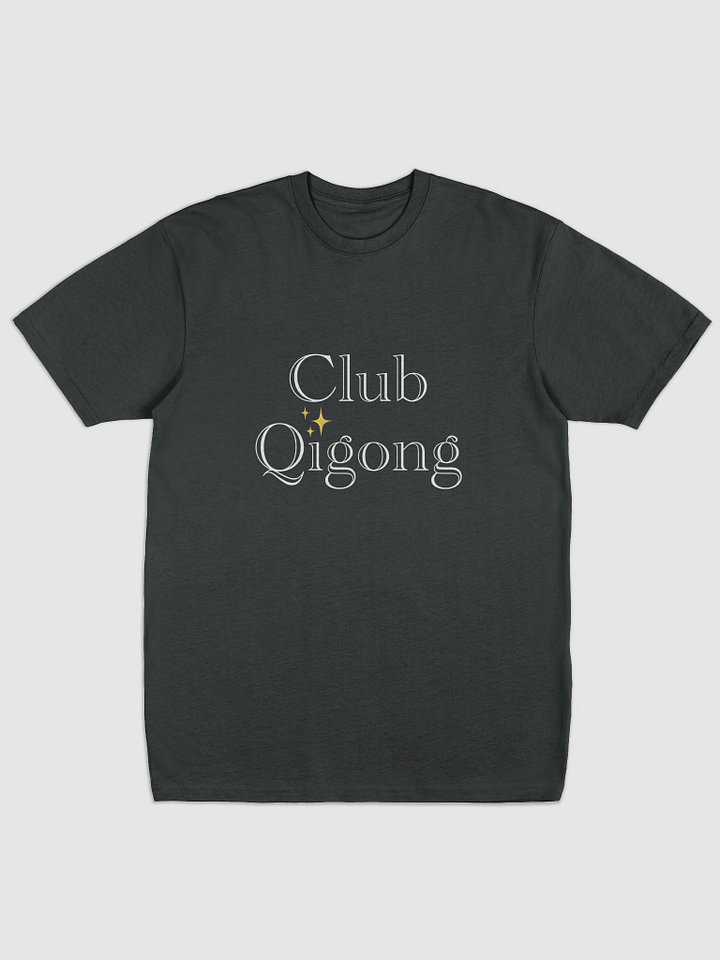 Qi Tee product image (1)