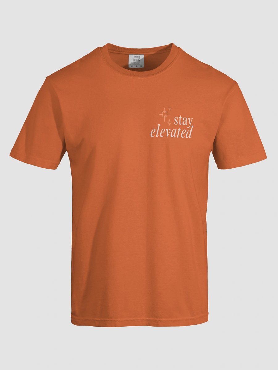 Stay Elevated Screenprint Tee product image (77)