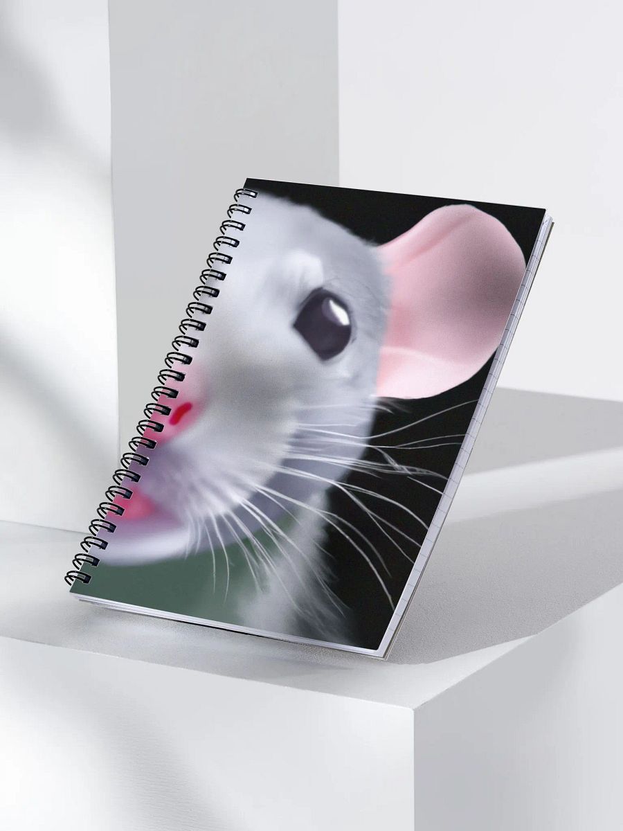 baby dumbo rat girl! diary product image (3)