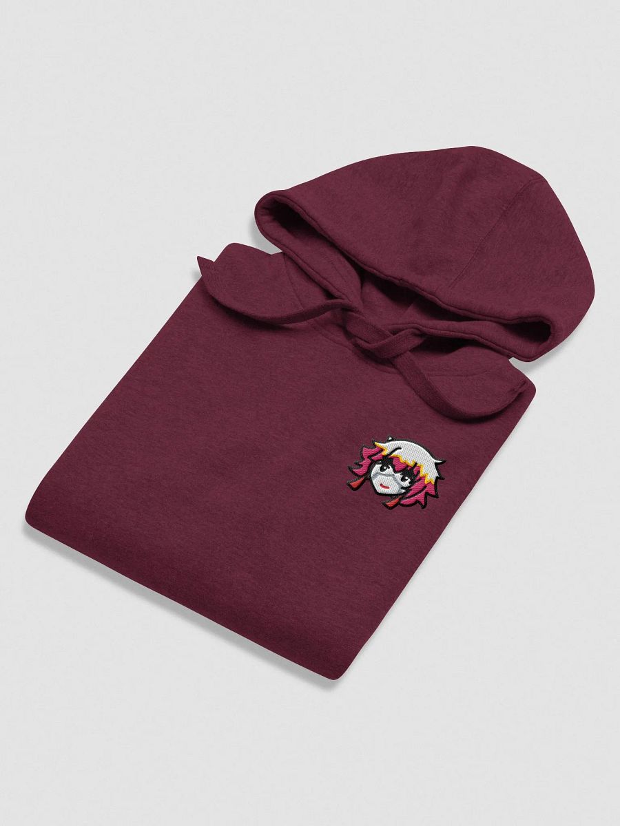 BiS Kazan Embroidered Hoodie (zzZ) +12 Alt. Colors product image (4)