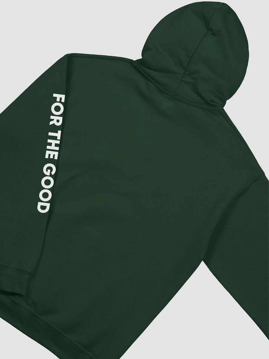 PNW Wellness Club x Billy Bogey Hoodie product image (16)