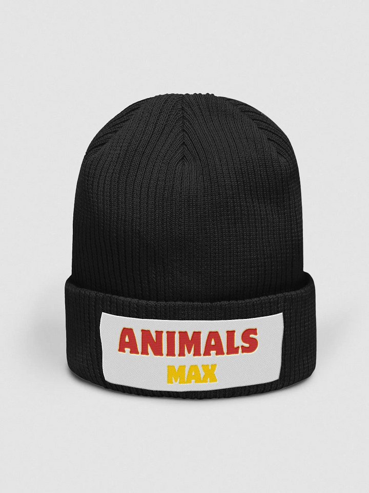 Atlantis Organic Ribbed Knit Hat product image (5)