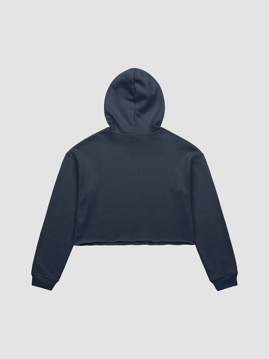 Cozy Vibes Cropped Hoodie product image (18)