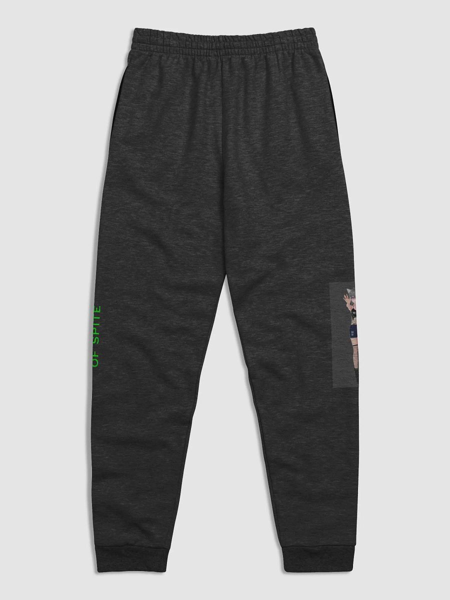 Creating out of Spite product image (5)