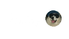 Hhhh Industries