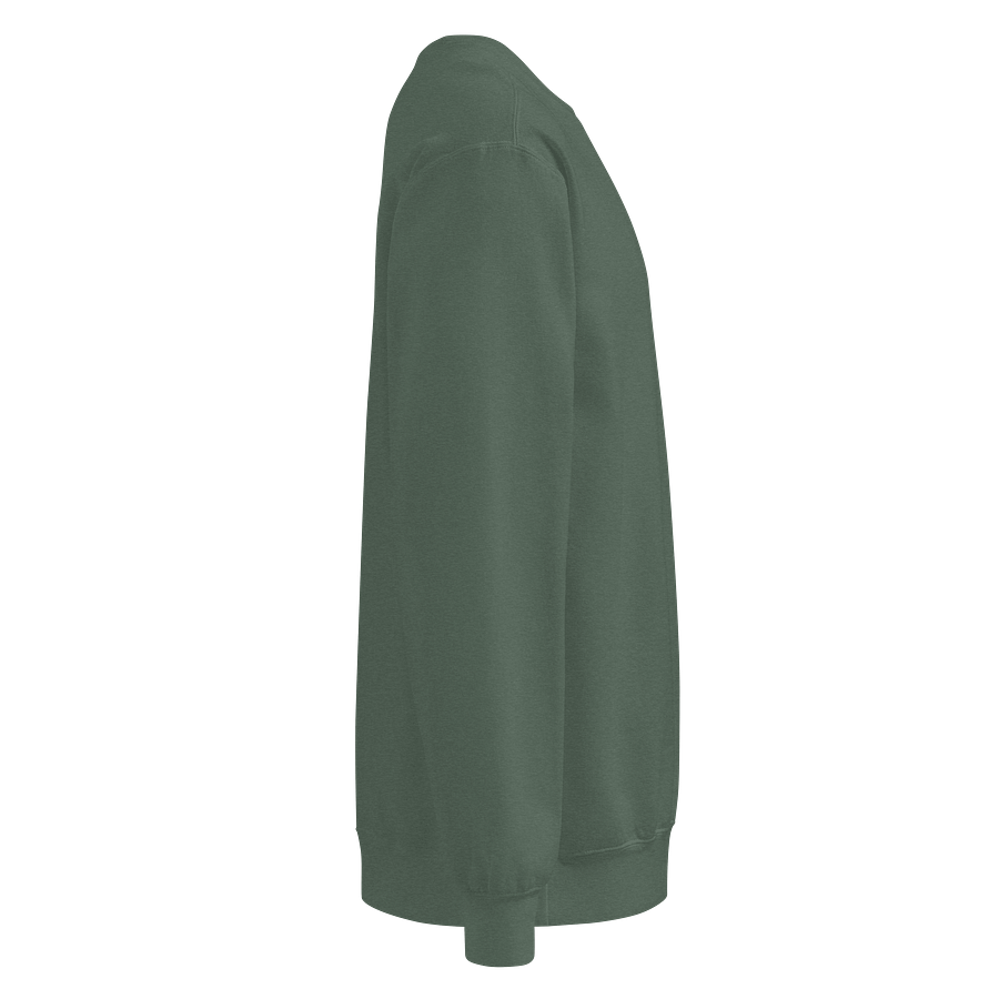 Hungarian Green shades Embroidered Sweatshirt product image (4)