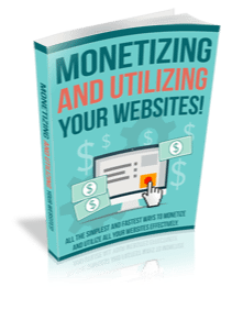 Monetizing and Utilizing Your Websites product image (1)