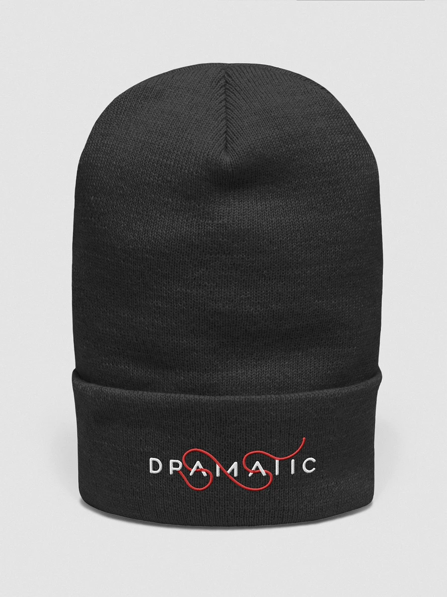 Dramatic Embroidered Beanie product image (1)