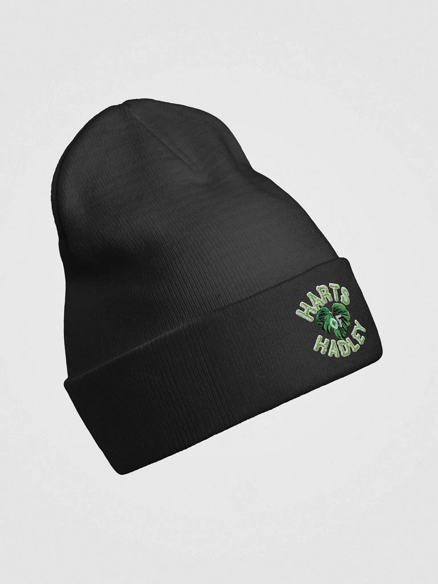 Harts Of Hadley Embroidered Logo Beanie product image (33)