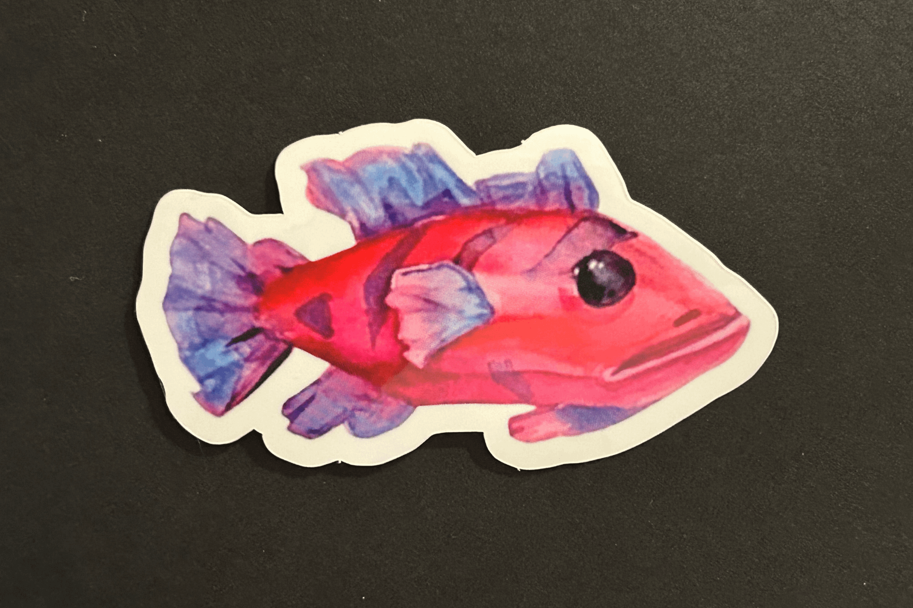 Ruby Splashtail Vinyl Sticker product image (1)