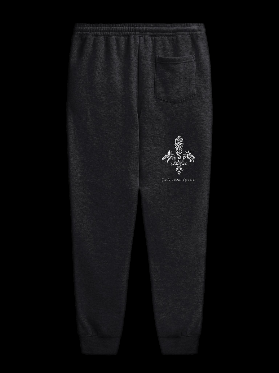 Joggings | Imprimé product image (2)