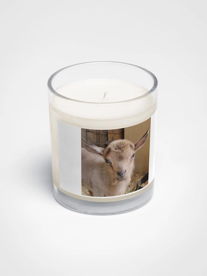 Baby Kiwi goat candle product image (2)