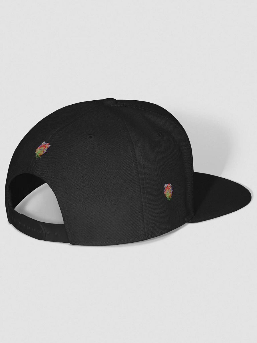 BizzWorld Drip snapback collection product image (27)