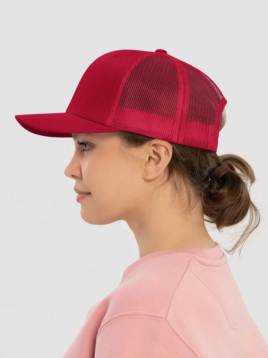 Aligned AF 222 Trucker Snapback product image (5)