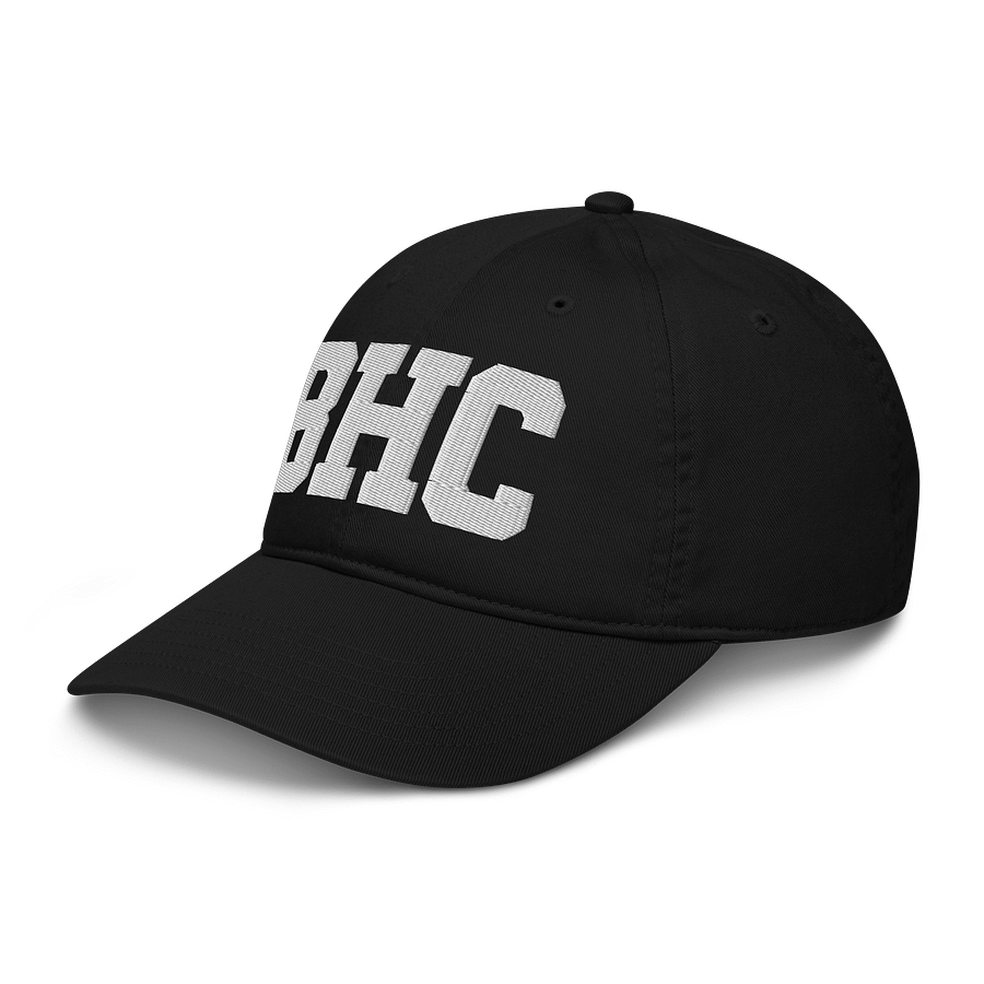 BHC Organic Dad Hat by Econscious product image (4)