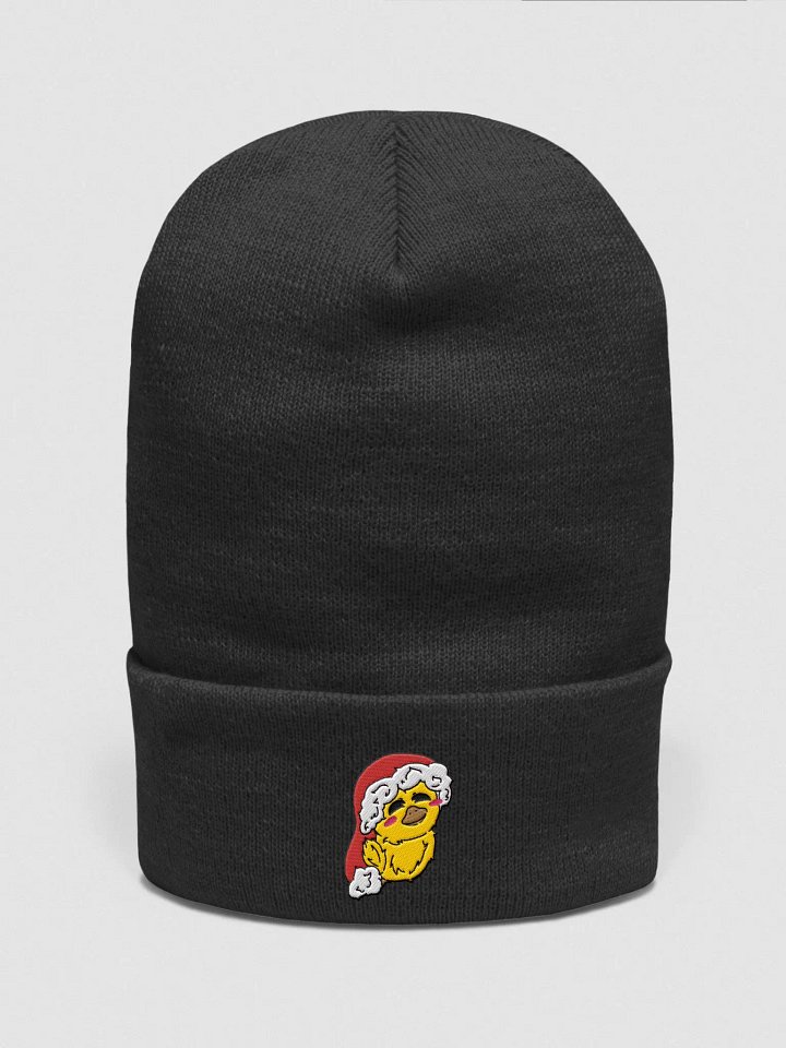 Christmas Duck Beanie product image (1)