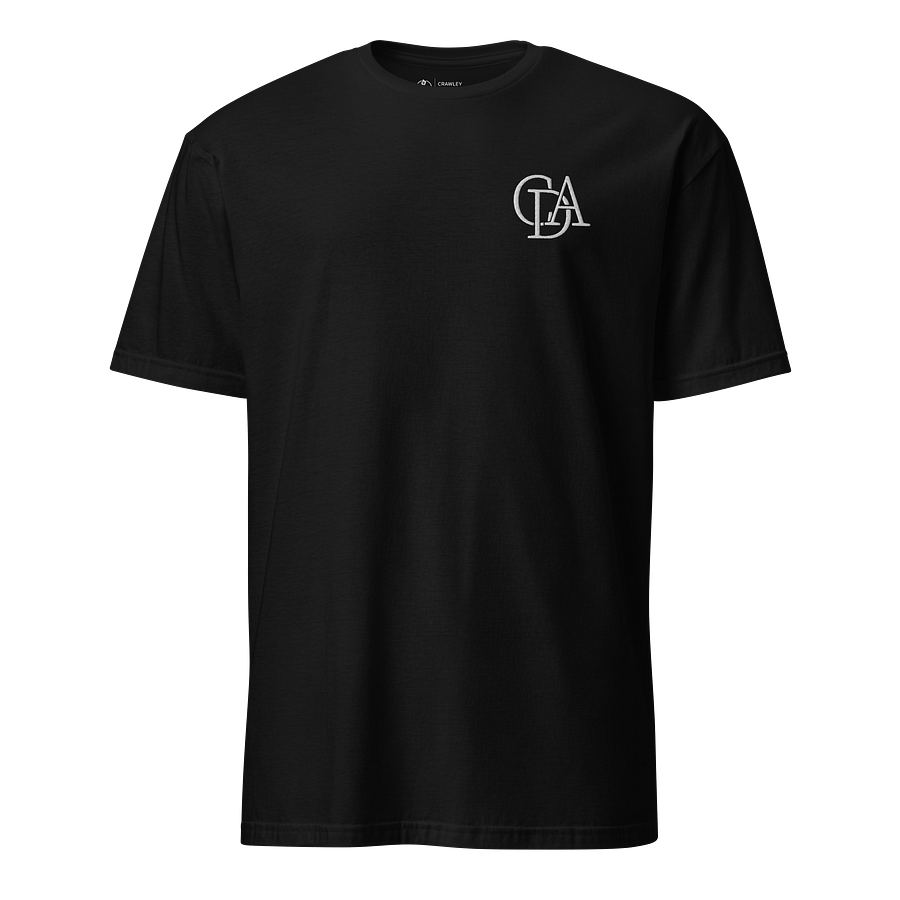 Adult T-shirt product image (2)