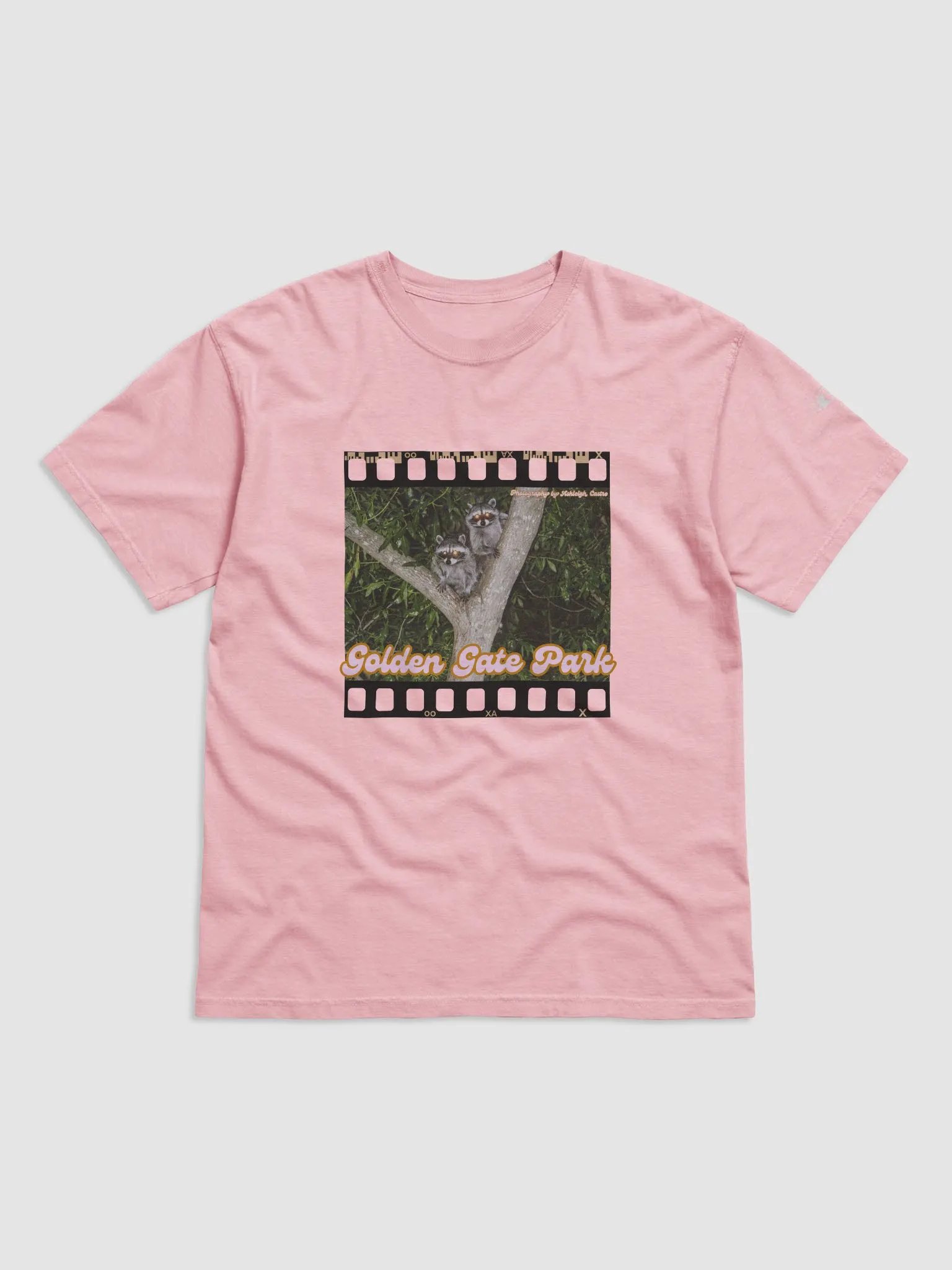Golden Gate Park Raccoons Heavyweight T-Shirt product image (1)