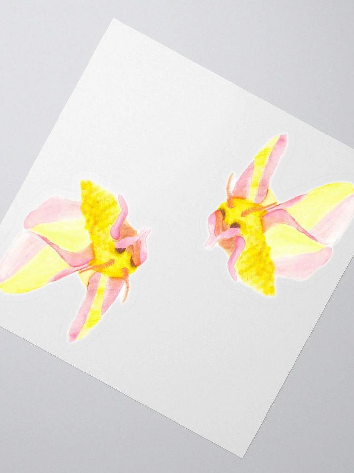 Rosy Maple Moth Sticker (x2) product image (2)