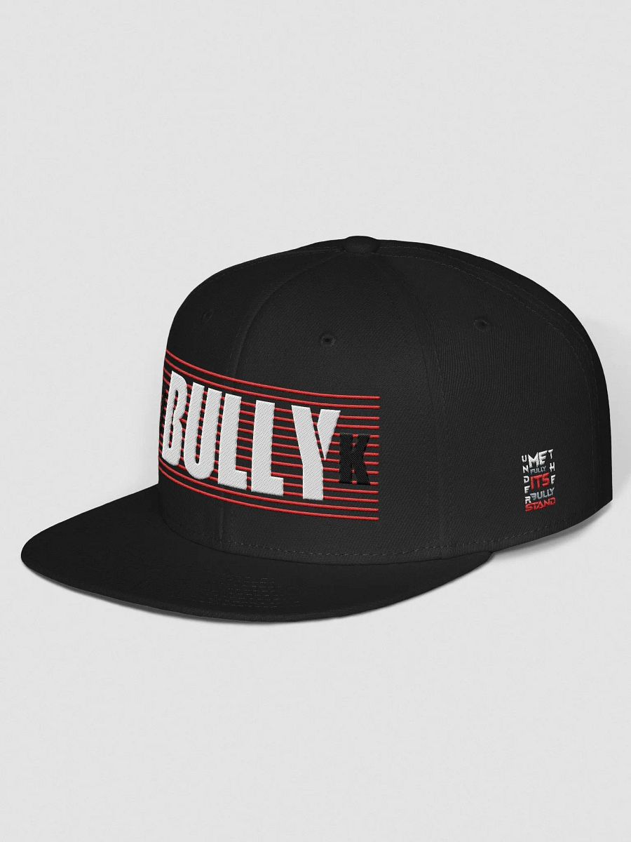 DKBULLY LIMITED EDITION HAT product image (2)