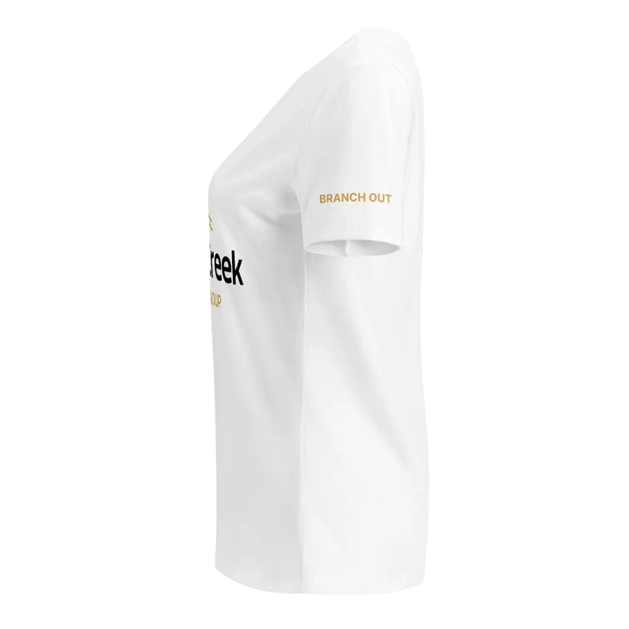 Women's Dark Logo | Bella Canvas V-Neck product image (2)
