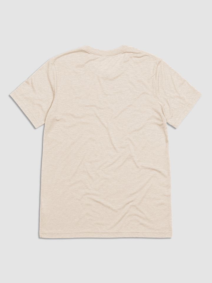 Y'all Need Epicurus LIGHT (Bella+Canvas Triblend Short Sleeve T-Shirt) product image (14)