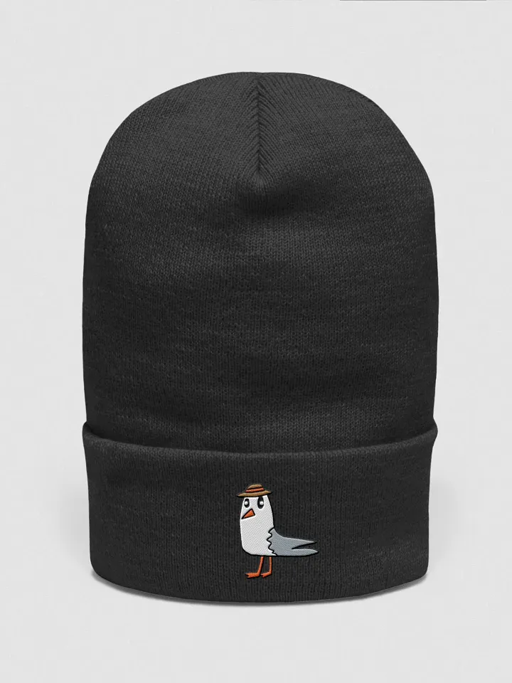 Lil Gull Embroidered Beanie product image (1)