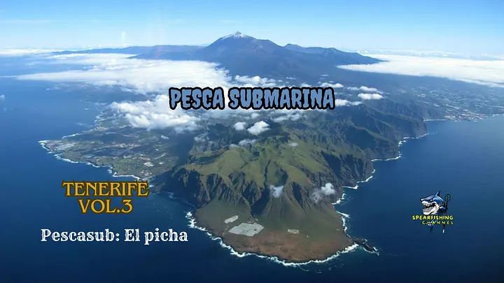 Tenerife VoL.3 pesca submarina product image (1)