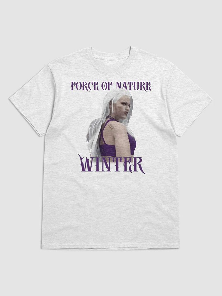 BTW Winter Heavy Tee product image (3)