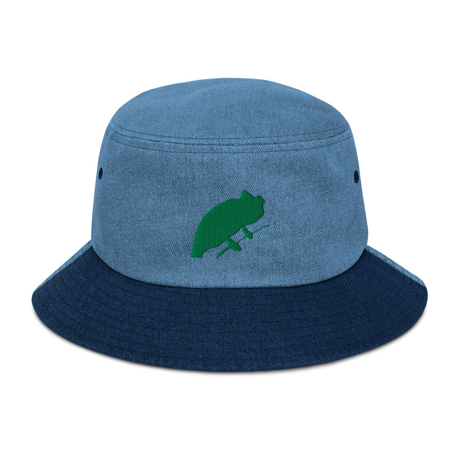 jean chameleon hat color:green product image (1)