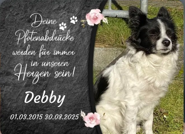Du hast deine Ruhe gefunden, kleine Debby 🐾. In Frieden bist du gegangen, ohne weiteres Leiden. Du wirst uns unendlich fehlen ,dein Platz in unserem Leben bleibt für immer. Danke für die Liebe und die zehn wundervollen Jahre an unserer Seite. ❤️💔 #ruheinfrieden #debby