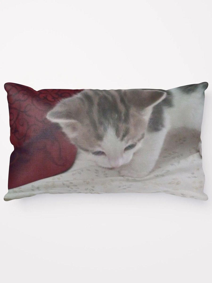 Adorable Kitten product image (13)