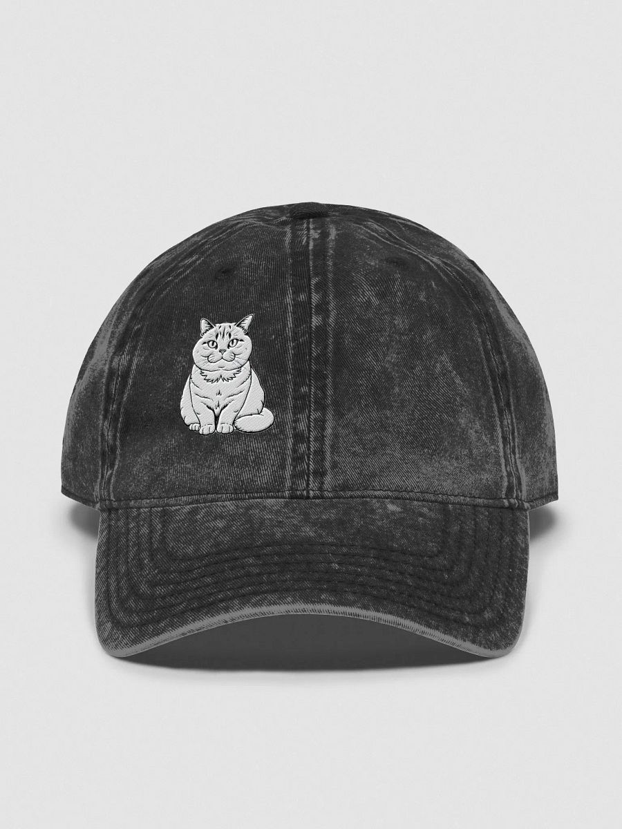 Blue-Eyed Tabby Cat Vintage Dad Hat product image (4)