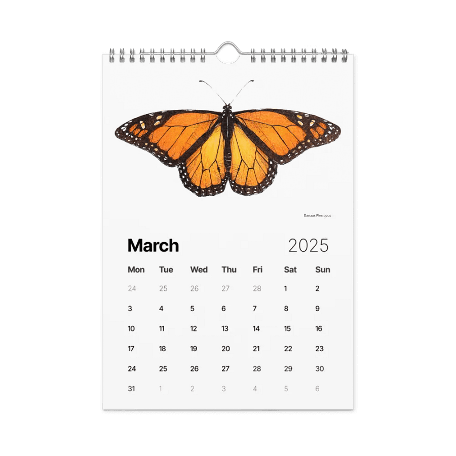 INSECTUM ABSTRACTUS - 2025 Calendar product image (3)