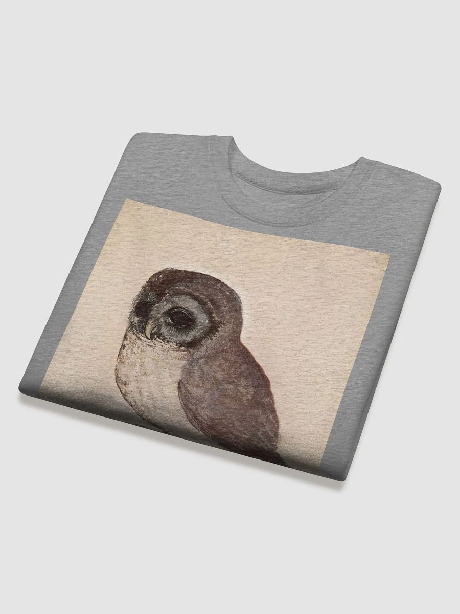 Albrecht Durer The Little Owl Sweatshirt product image (32)