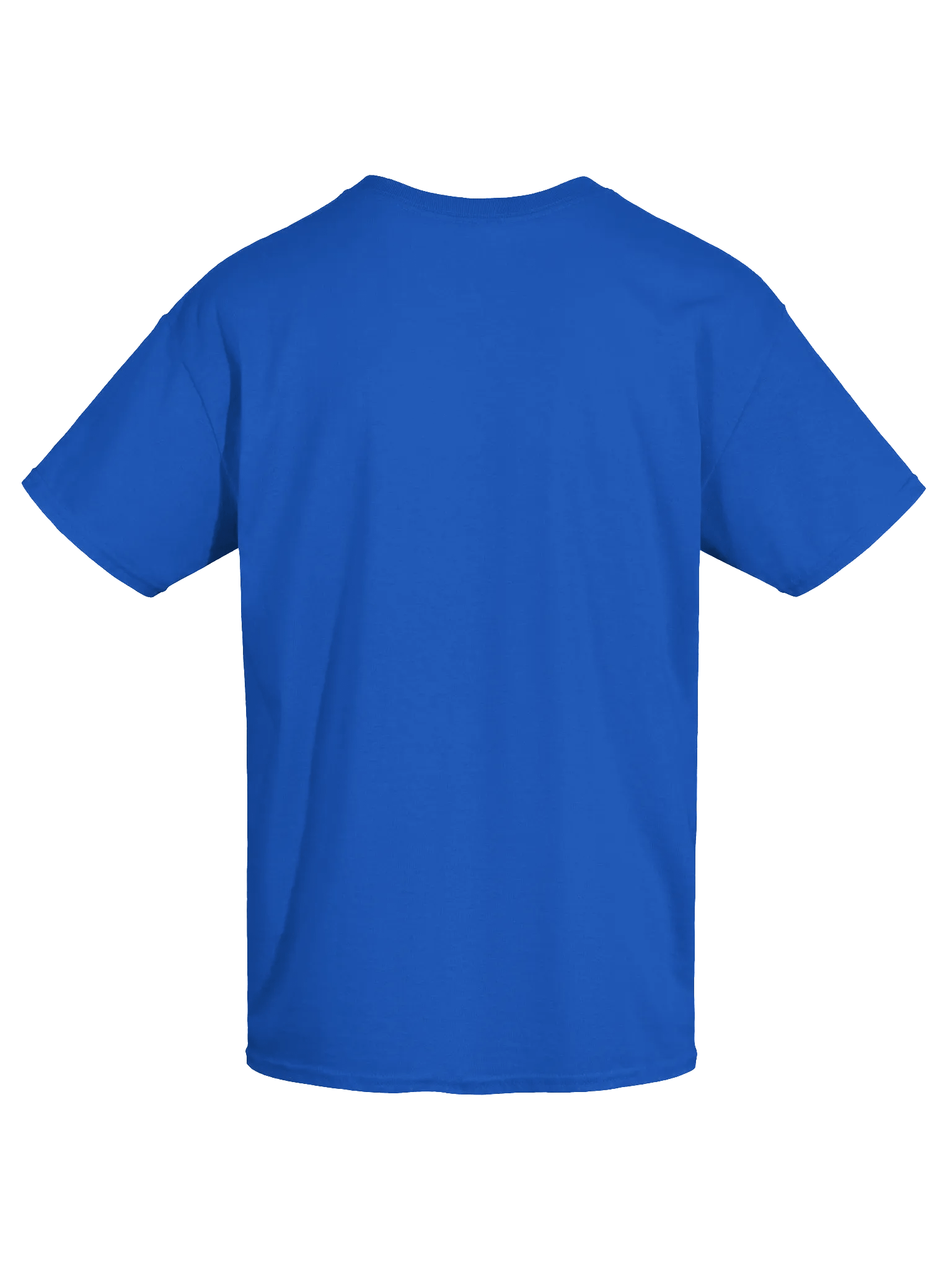Black-Backed Gulls unisex tee product image (41)