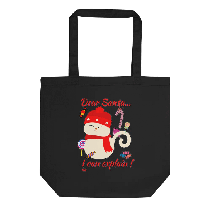 DEAR SANTA, I CAN EXPLAIN! product image (1)