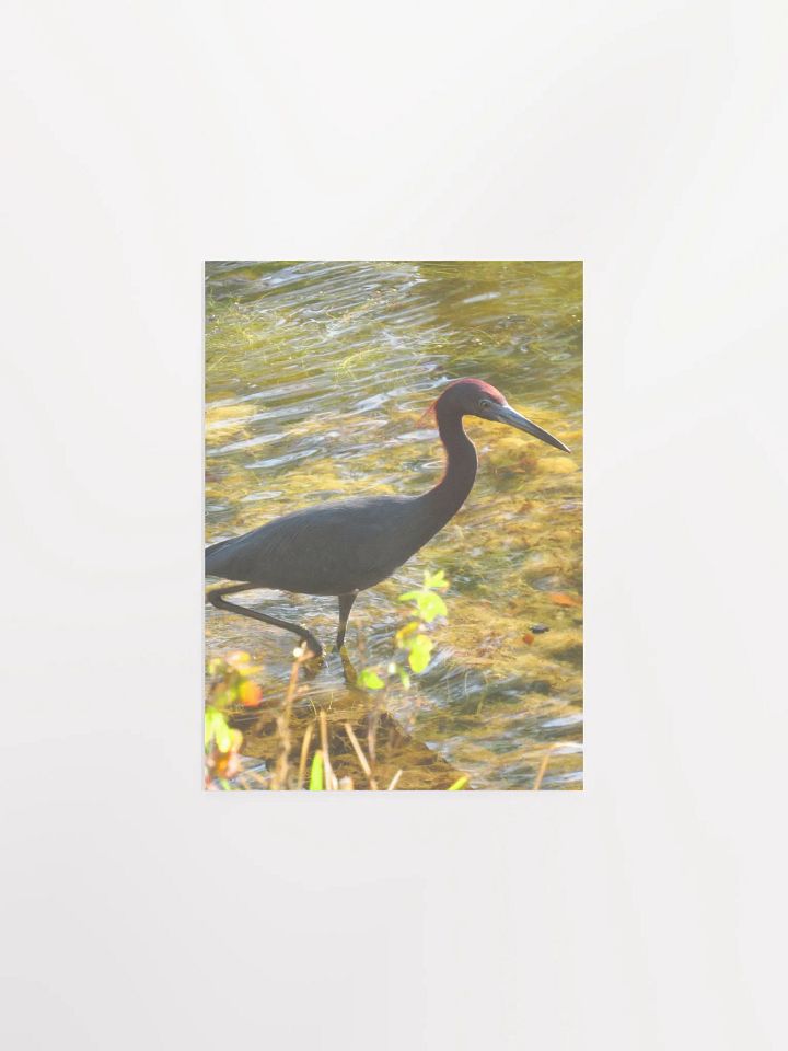 Heron product image (7)