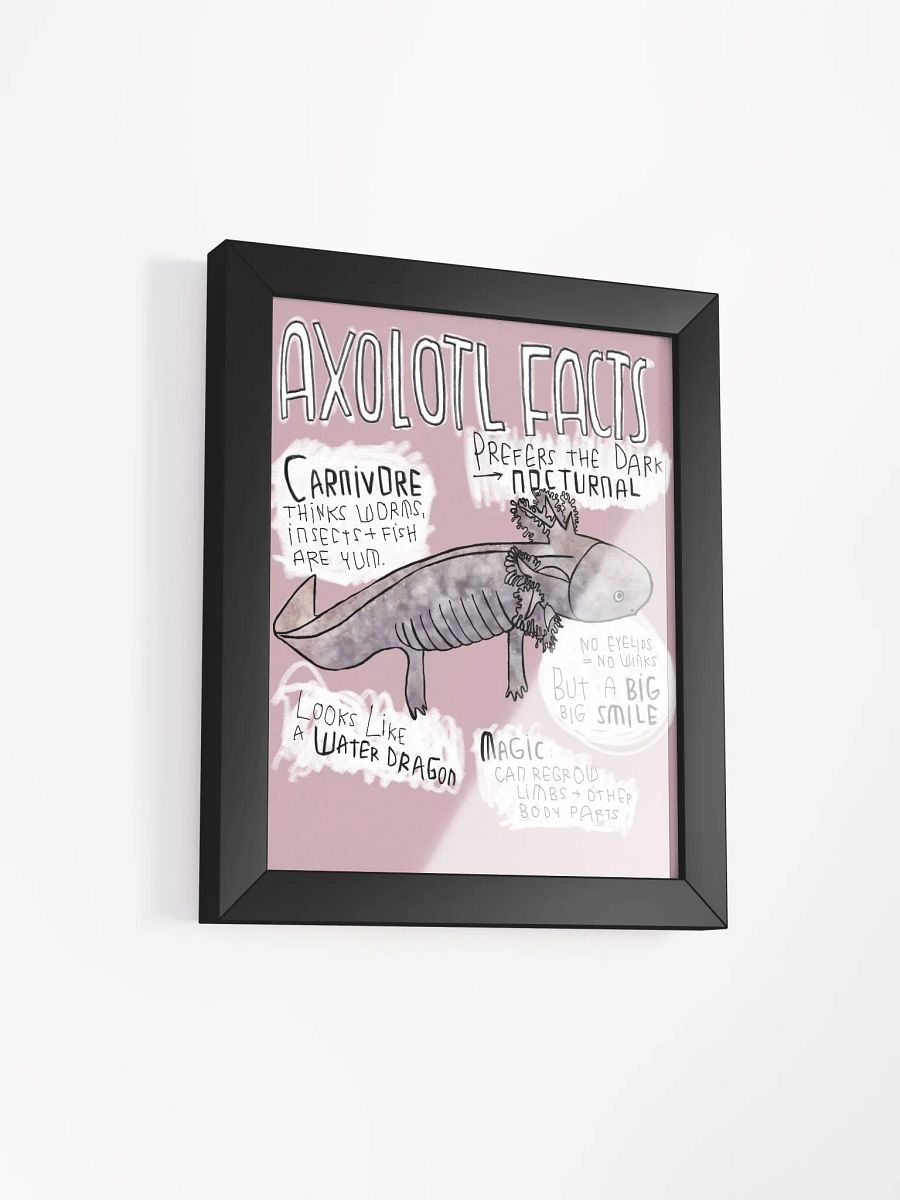 Axolotl Fun Facts, Axolotl Trivia product image (9)