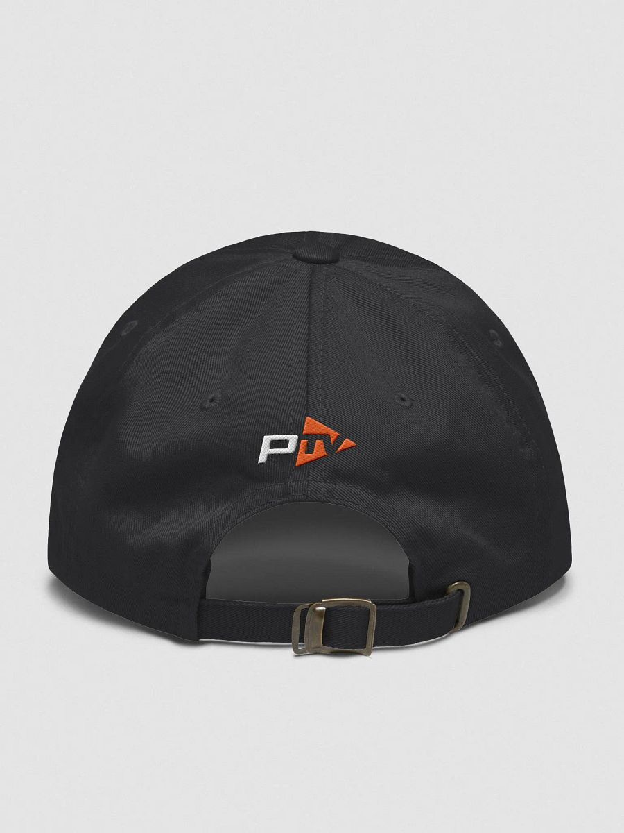 PTV Dad Hat product image (2)