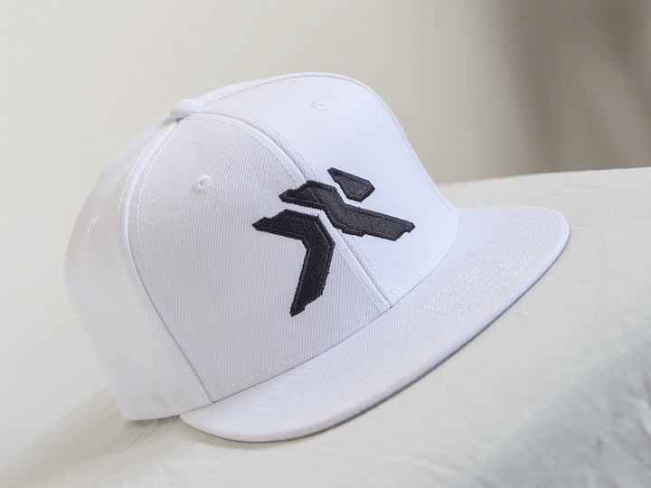Logo SNAPBACK product image (2)