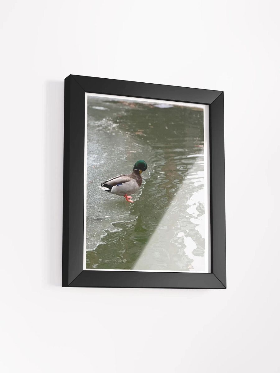 Contemplative Duck on Thin Ice Framed Poster product image (2)