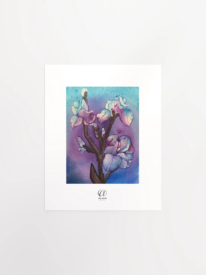 Orchids Print product image (1)