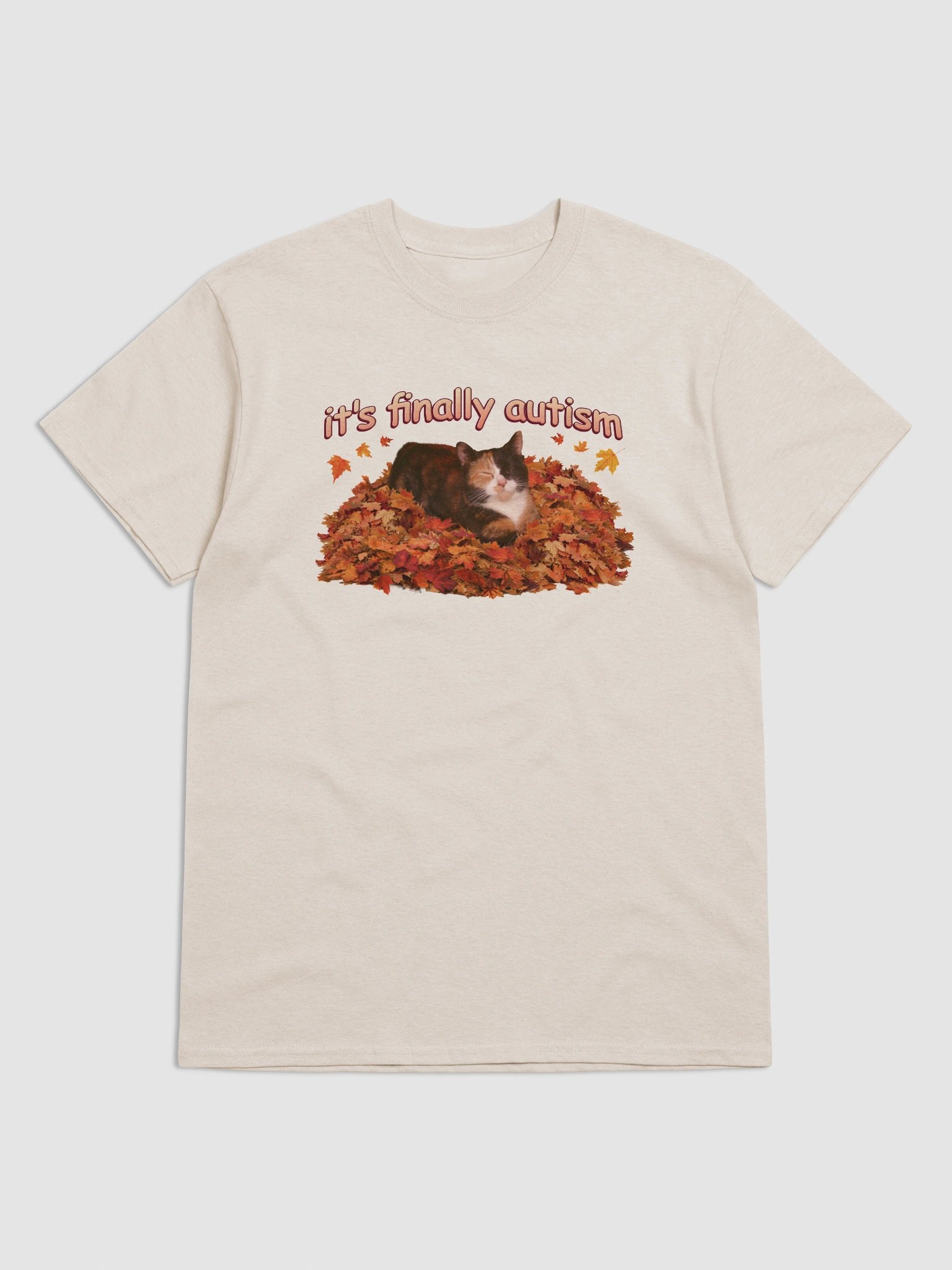 It's Finally Autism Autumn Cat T-shirt product image (1)